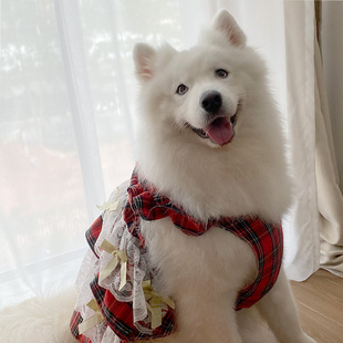 狗狗衣服宠物裙子红色格纹蕾丝，萨摩耶拉布拉多中型大型犬宠物衣服