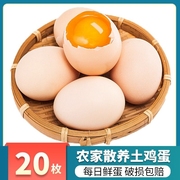 正宗农家散养土鸡蛋20枚农村新鲜柴鸡蛋草鸡蛋笨鸡蛋谷物蛋整箱