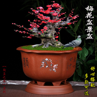 紫砂花盆六方形梅花专用盆景盆榕树桩盆栽室内植物大号陶瓷带底座