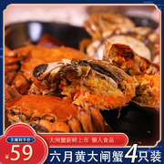 4只装1.5-1.8两大闸蟹公母熟食，特大即食大只香辣螃蟹盒装麻辣