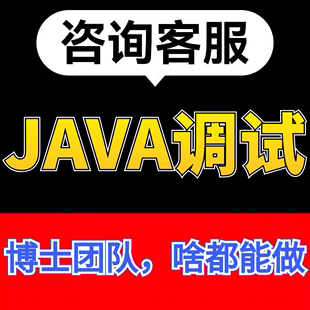 java代码调试bug修改项目运行指导讲解maven安装环境部署答疑数据