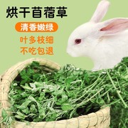 烘干苜蓿草兔子，专用牧草幼兔兔粮荷兰猪豚鼠干草，零食紫花苜蓿草