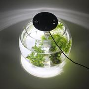 鱼缸水草灯led全光o谱草缸专用灯圆形，缸照明防水夹灯小型爆藻灯