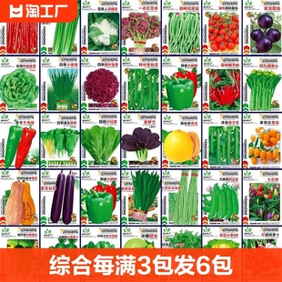 蔬菜种子四季播盆栽香菜生菜，菠菜葱易种籽孑大全种植阳台播种特大