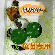 仿真水草乌龟假水草龟苗神器鱼缸龟缸造景塑料假草乌龟躲避防溺水