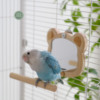 鸟用镜子原木镜子鹦鹉，玩具趣味解闷中小型鸟，用品鸟笼配件挂笼镜