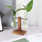 创意玻璃花瓶水培植物容器透明桌面摆件装饰木花器水养绿萝小花盆