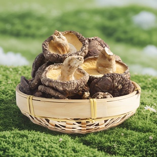 福建三明野生香菇干货 特级农家特产椴木食用蘑菇500g袋装大香菇