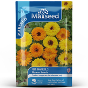 marseed火星家整包50粒金盏菊种子，籽孑ha111