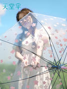 天堂伞长柄透明伞小清新日系雨伞，自动学生ins风印花森系直柄直杆