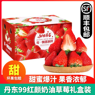 丹东99草莓礼盒装九九红颜，奶油甜草莓整箱，新鲜孕妇水果