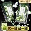 茉莉花茶新茶特级浓香型，苿莉绿茶碧螺小龙珠春茶叶，自己喝横县500g