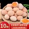 农家土鸡蛋10枚农家散养喂养新鲜农村草鸡蛋柴鸡蛋