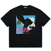 迷幻摇滚乐队PinkFloyd奶牛印花短袖男女T恤重磅厚透气印花夏季