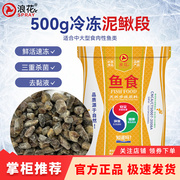 浪花500g泥鳅段散冻装中大型观赏鱼食龙鱼罗汉鱼高蛋白增色鱼食