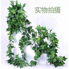 仿真爬山虎藤条装饰树叶常青藤挂壁藤蔓管道缠绕假花吊顶塑料叶子