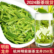 2024年上市新茶明前杭州龙井茶叶正宗散装绿茶浓豆香味龙井茶250g