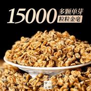 茶叶2023年新茶凤庆金丝，滇红云南古树，红茶蜜香金螺单芽春茶500g