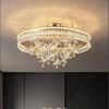 现代简约轻奢花朵水晶吊灯卧室客厅餐厅设计师家用吸顶灯