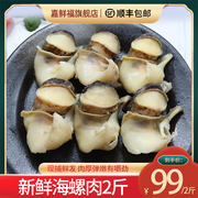 海螺肉2斤新鲜现剥日本料理酒店饭店餐饮商用芥末特色菜