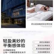 五星级酒店超柔软10cm床垫，软垫加厚床，褥子垫被家用1.8m双人床褥垫