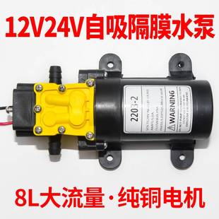 迷你小号小型微型直流隔膜，水泵12v24v电动喷雾器高压抽水泵自吸泵