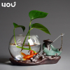 创意水培花盆花瓶玻璃，水养植物绿萝容器透明家用客厅摆件插花器皿