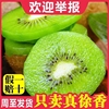陕西周至徐香猕猴桃，当季新鲜5斤水果彩箱产地奇异果