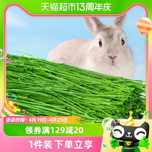 布卡星提摩西草兔子饲料23年兔草新鲜食用粮草烘干牧草荷兰猪粮食