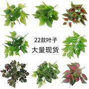 仿真塑料叶子植物冷水叶地瓜叶仿真植物装饰家居客厅摆件摄影绿植