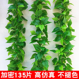 仿真藤条植物假绿萝叶子装饰室内电线美化塑料藤蔓绿叶空调管遮挡