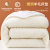 羊毛床垫软垫加厚保暖床，褥子双人家用垫褥垫被冬天冬季羊羔绒垫子