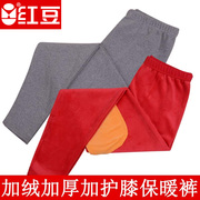 红豆冬季男女加绒加厚保暖裤，单条单件加护膝保暖裤保暖内衣