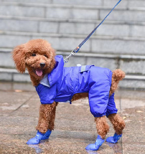 宠物鞋子四只装糖果系狗雨鞋泰迪防水鞋小型犬防滑鞋狗鞋硅胶雨靴