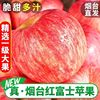 烟台红富士10斤苹果水果，新鲜应当季正宗栖霞冰糖心丑平果整箱