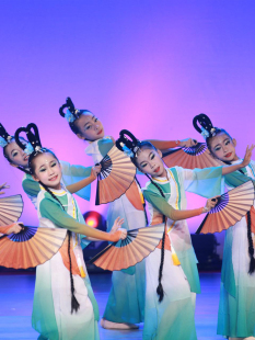 醉春风舞蹈服儿童，古典舞演出服女童中国风扇子舞，少儿飘逸表演服装
