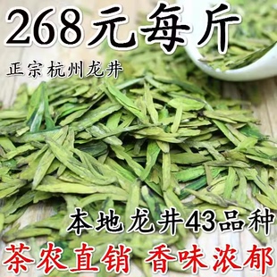 2024新茶春茶杭州龙井茶叶，豆香高山茶龙井43绿茶茶农500g