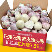 2024新鲜云南紫皮独头大蒜5斤紫皮蒜农家蔬菜紫皮大蒜头红皮干蒜9