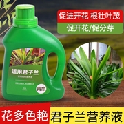 君子兰肥料专用肥开花肥料兰花专用营养液水培水养植物通用型肥料