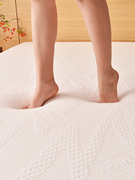 家用加厚高密度记忆海绵床垫单人回弹棉软硬垫子可拆洗榻榻米床垫