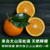 秭归脐橙纯甜橙子高端应季水果新鲜戆赣济南雷橙波脐橙挤橙