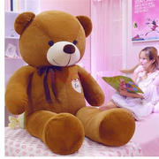 公主熊 毛绒玩具泰迪熊公仔抱抱熊大号熊猫公仔布娃娃女孩生日礼