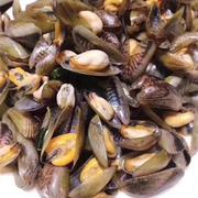 海瓜子薄壳鲜活水产新鲜潮汕薄壳米海捕贝壳广东海鲜一斤