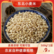 谷稻瑶东北小麦仁2斤煮粥饭小麦粒农家自产真空，装粗粮去皮小麦米