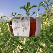 鲜蜂堂新采黄芪蜂蜜，中华土蜂采集天然纯正净重500克每瓶