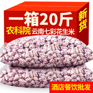 2023年七彩花生米去壳生的云南普洱特产新鲜晒干五彩七彩花生种子