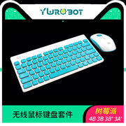 ywrobot无线鼠标键盘套件，适用于树莓派4b3b+3b