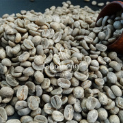 A卡蒂姆咖啡生豆 云南咖啡豆阿拉比卡水洗1000g 意式手冲拼配商业