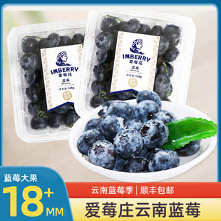 爱莓庄云南山地蓝莓，鲜果大果当季限量酸甜现摘带枝蓝莓水果