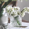 花时间《木子》美式浮雕复古大口玻璃花瓶桌面鲜花绿植花器餐桌